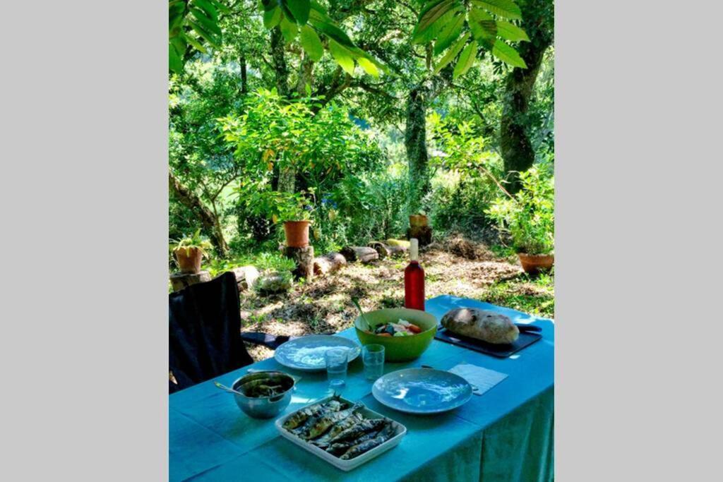 Quinta Biologica, Com Vista, Na Serra De 辛特拉 外观 照片