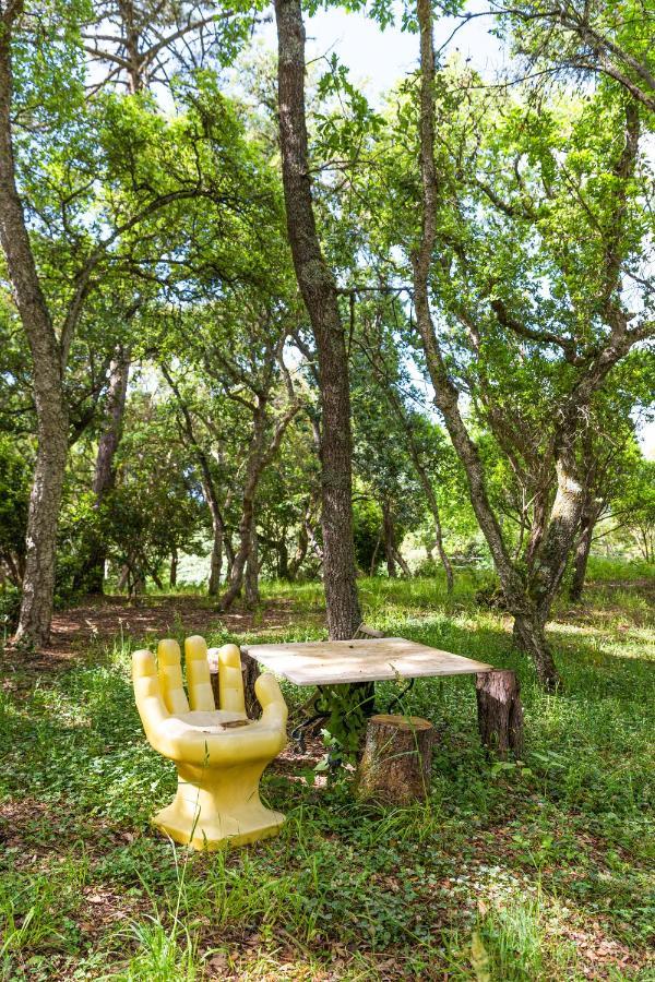 Quinta Biologica, Com Vista, Na Serra De 辛特拉 外观 照片