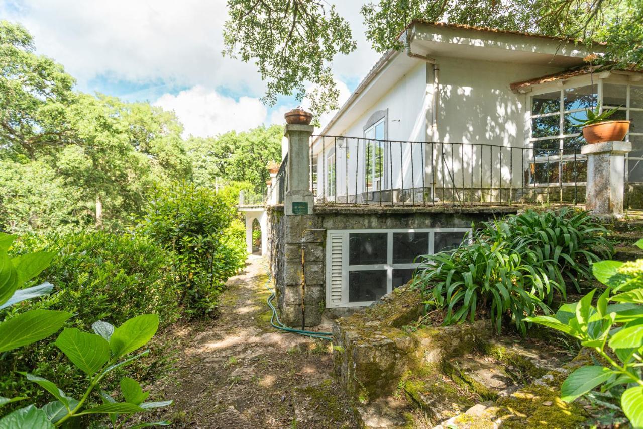 Quinta Biologica, Com Vista, Na Serra De 辛特拉 外观 照片