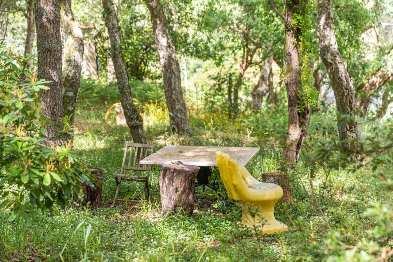 Quinta Biologica, Com Vista, Na Serra De 辛特拉 外观 照片