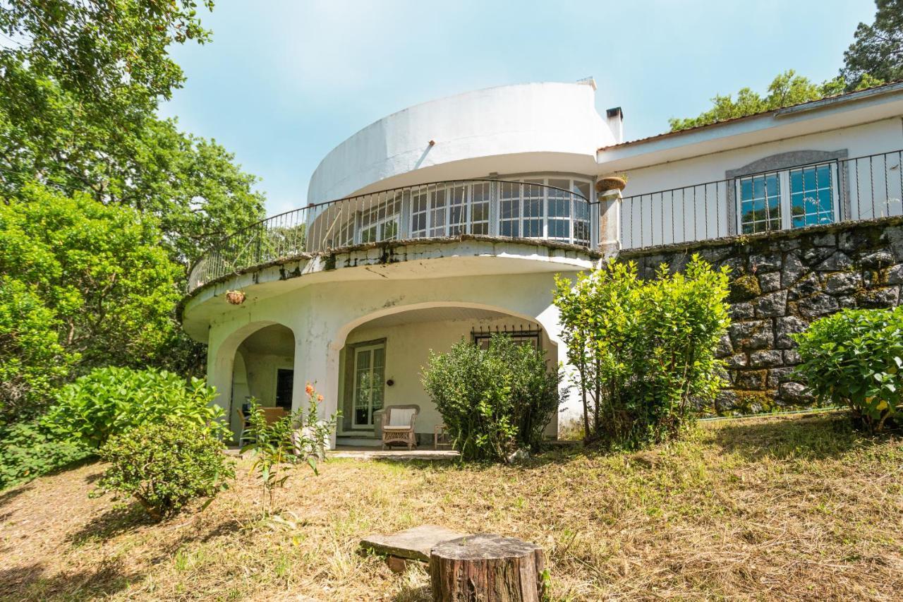 Quinta Biologica, Com Vista, Na Serra De 辛特拉 外观 照片