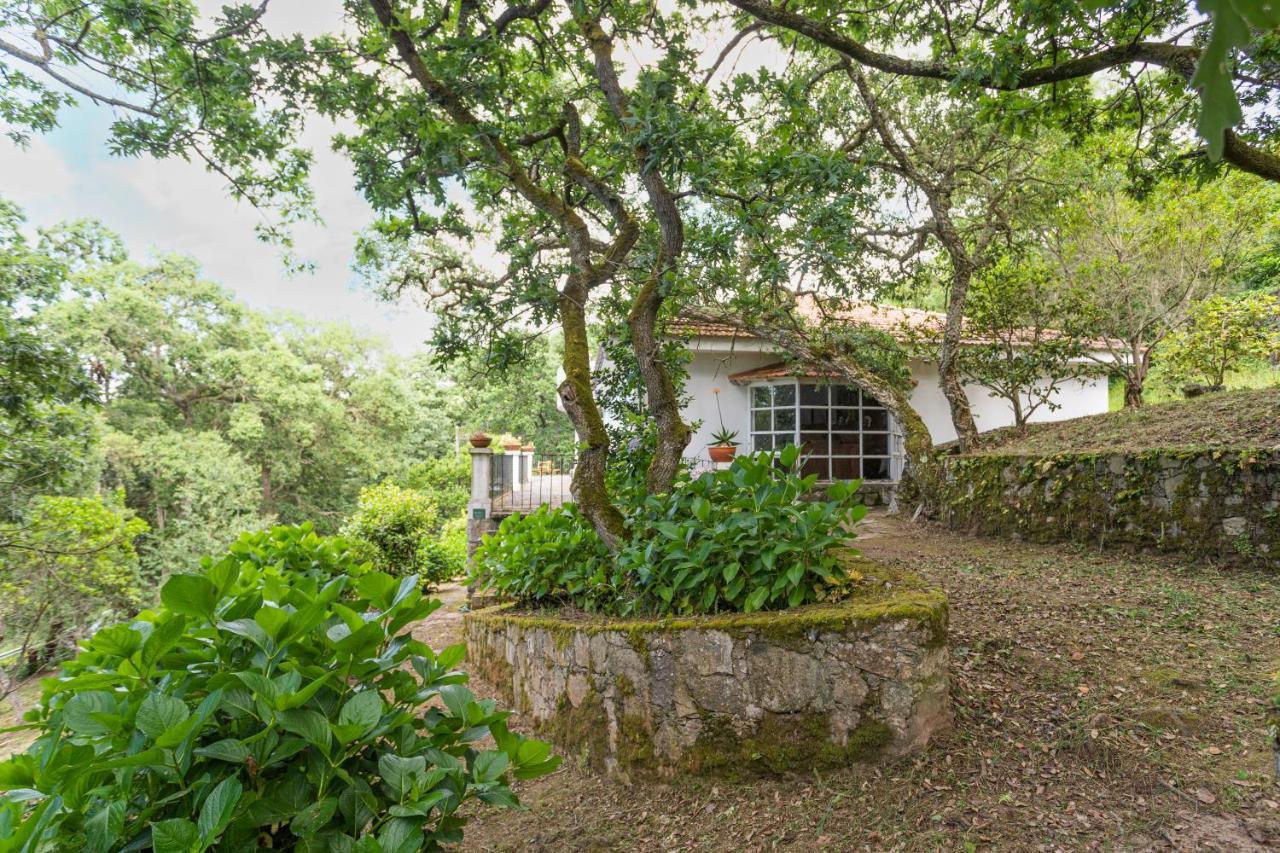 Quinta Biologica, Com Vista, Na Serra De 辛特拉 外观 照片