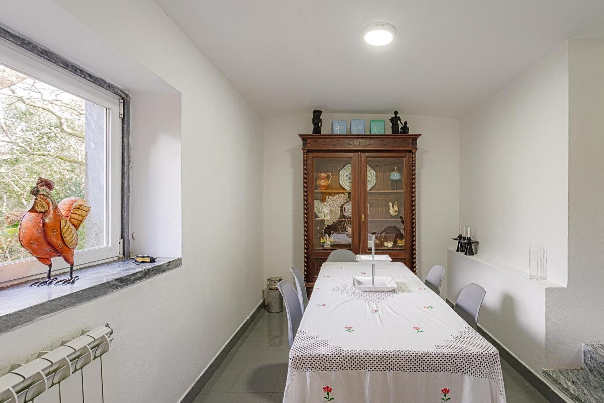 Quinta Biologica, Com Vista, Na Serra De 辛特拉 外观 照片